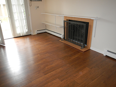 Niwot Rentals Unit 3 Fireplace and Front Door