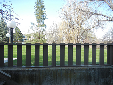 Niwot Rentals Unit 3 View from Patio