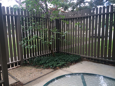 Niwot Rentals Unit 8 Patio